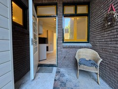 tuin 2.jpg